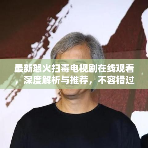 最新怒火掃毒電視劇在線觀看,深度解析與推薦,不容錯過!