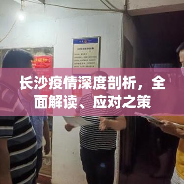 長沙疫情深度剖析,全面解讀、應對之策