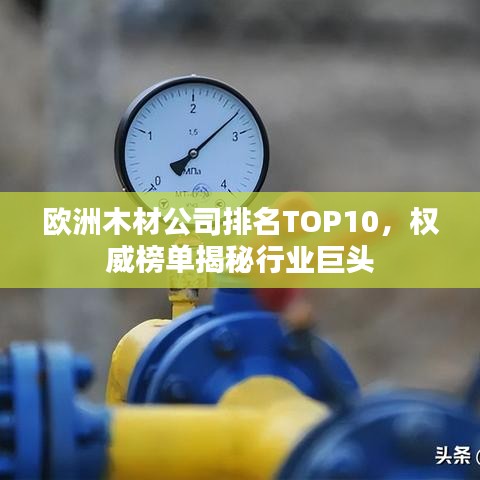 歐洲木材公司排名TOP10,權威榜單揭秘行業巨頭