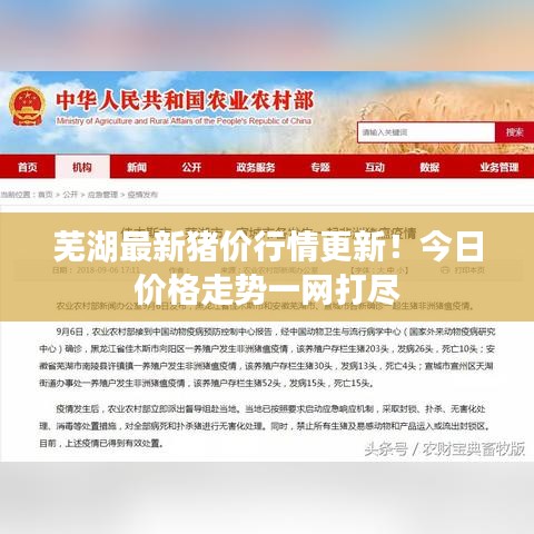 蕪湖最新豬價(jià)行情更新！今日價(jià)格走勢(shì)一網(wǎng)打盡
