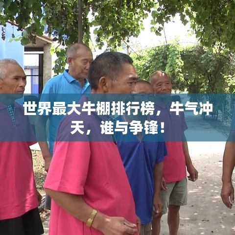 世界最大牛棚排行榜,牛氣沖天,誰與爭鋒!