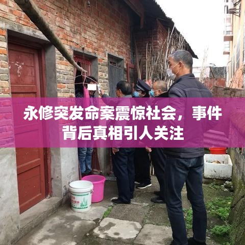 永修突發(fā)命案震驚社會(huì),事件背后真相引人關(guān)注