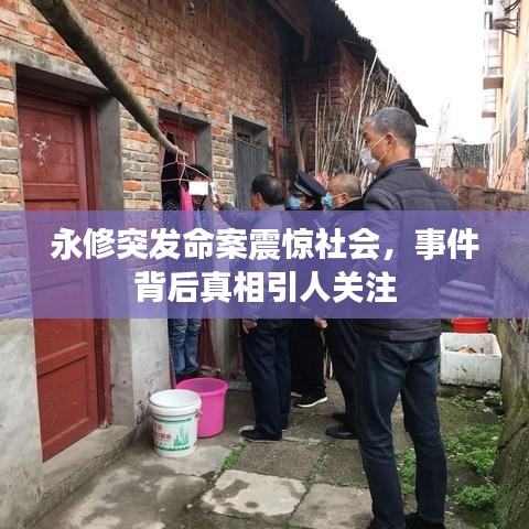 永修突發(fā)命案震驚社會(huì),事件背后真相引人關(guān)注