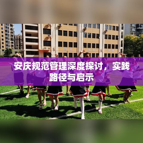 安慶規范管理深度探討,實踐路徑與啟示