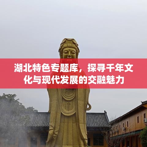 湖北特色專題庫,探尋千年文化與現代發展的交融魅力