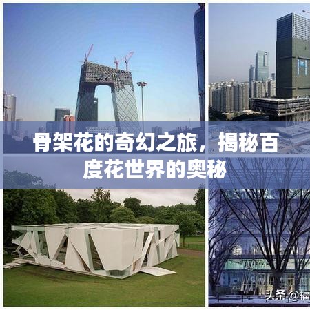骨架花的奇幻之旅，揭秘百度花世界的奧秘