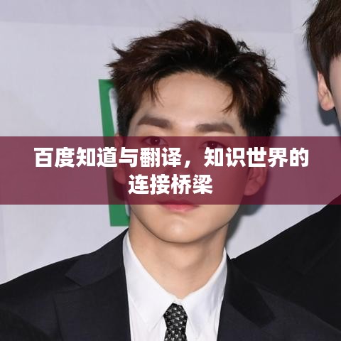 百度知道與翻譯,知識(shí)世界的連接橋梁