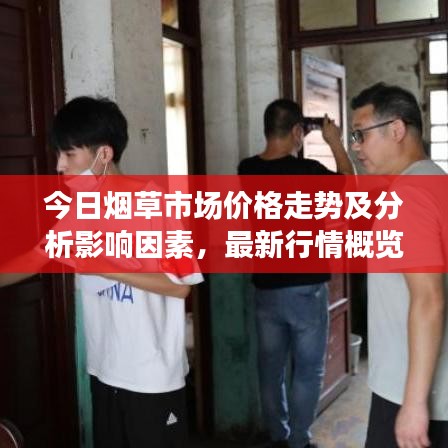 今日煙草市場價格走勢及分析影響因素,最新行情概覽