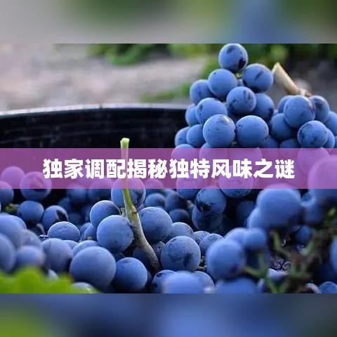 獨(dú)家調(diào)配揭秘獨(dú)特風(fēng)味之謎