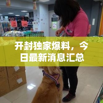 開封獨家爆料,今日最新消息匯總