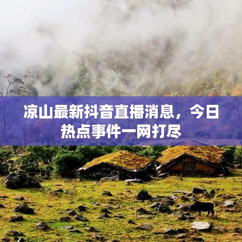 涼山最新抖音直播消息，今日熱點事件一網打盡