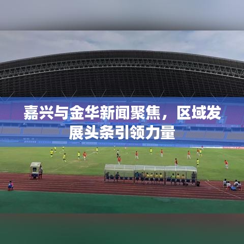 嘉興與金華新聞聚焦,區域發展頭條引領力量