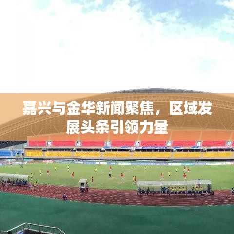 嘉興與金華新聞聚焦,區域發展頭條引領力量