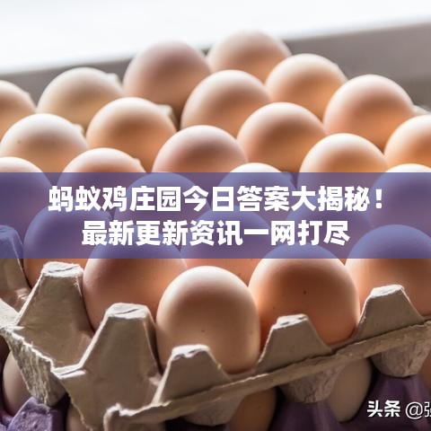 螞蟻雞莊園今日答案大揭秘！最新更新資訊一網打盡