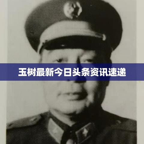 玉樹最新今日頭條資訊速遞