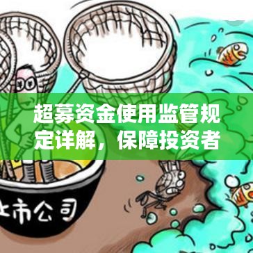 超募資金使用監管規定詳解,保障投資者權益,規范企業資金運用