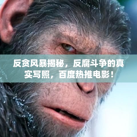 反貪風暴揭秘，反腐斗爭的真實寫照，百度熱推電影！