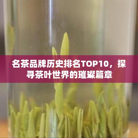 名茶品牌歷史排名TOP10，探尋茶葉世界的璀璨篇章