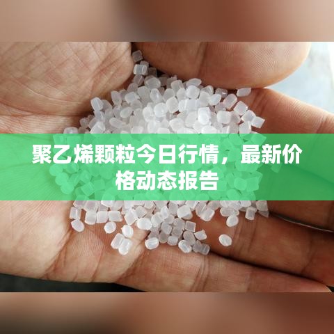 聚乙烯顆粒今日行情，最新價格動態報告