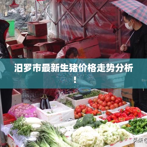 汨羅市最新生豬價格走勢分析!