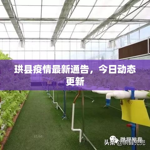珙縣疫情最新通告,今日動態(tài)更新