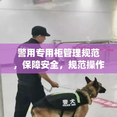 警用專用柜管理規范，保障安全，規范操作，提升警務效率