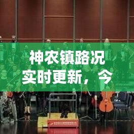 神農鎮路況實時更新，今日路況最新消息匯總