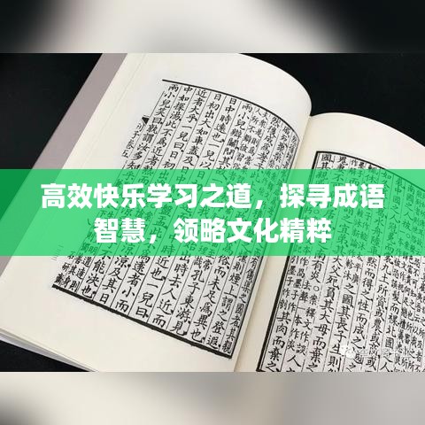 高效快樂學(xué)習(xí)之道,探尋成語智慧,領(lǐng)略文化精粹