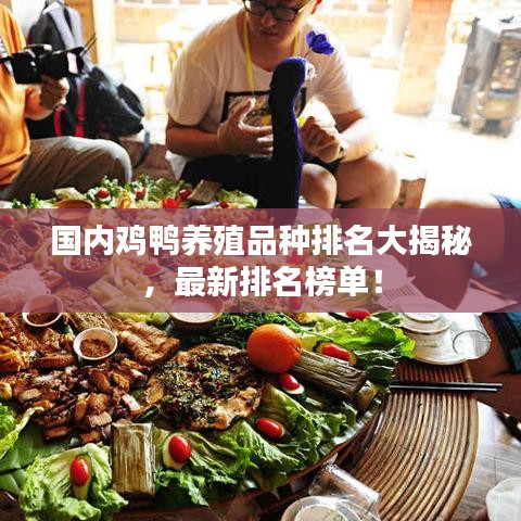 國內雞鴨養殖品種排名大揭秘，最新排名榜單！