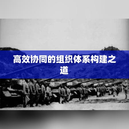 高效協(xié)同的組織體系構(gòu)建之道