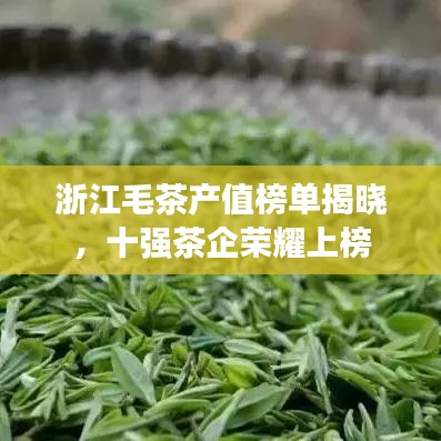 浙江毛茶產(chǎn)值榜單揭曉,十強茶企榮耀上榜