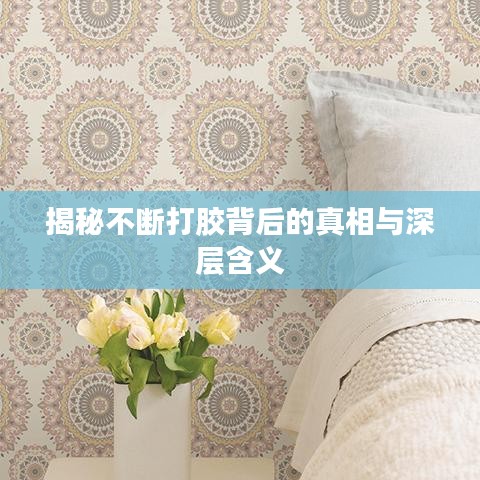 揭秘不斷打膠背后的真相與深層含義