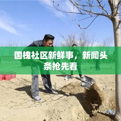 國槐社區新鮮事，新聞頭條搶先看