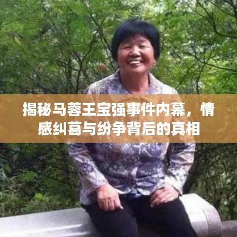 揭秘馬蓉王寶強(qiáng)事件內(nèi)幕,情感糾葛與紛爭背后的真相