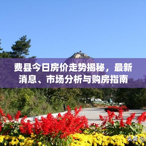 費縣今日房價走勢揭秘，最新消息、市場分析與購房指南