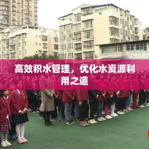 高效積水管理，優化水資源利用之道