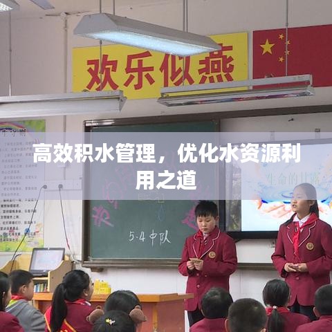 高效積水管理,優化水資源利用之道