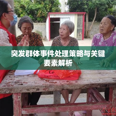 突發群體事件處理策略與關鍵要素解析