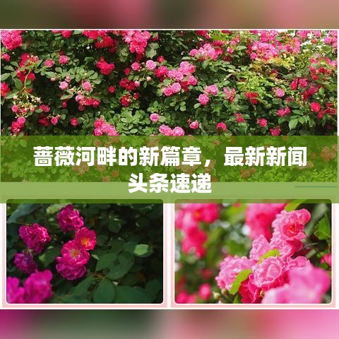 薔薇河畔的新篇章，最新新聞?lì)^條速遞