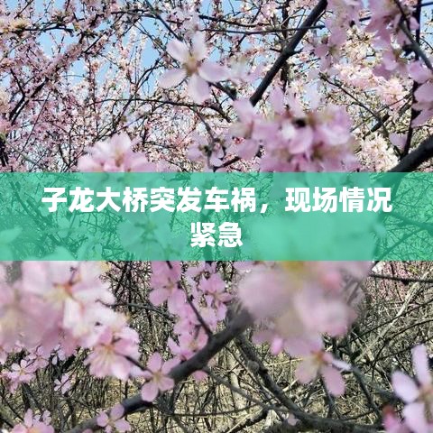 大張撻伐 第3頁