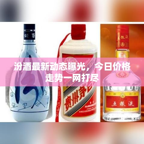 汾酒最新動態曝光，今日價格走勢一網打盡