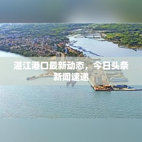 湛江港口最新動態，今日頭條新聞速遞