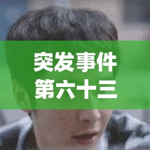 突發事件第六十三條詳解,規定的重要性與影響