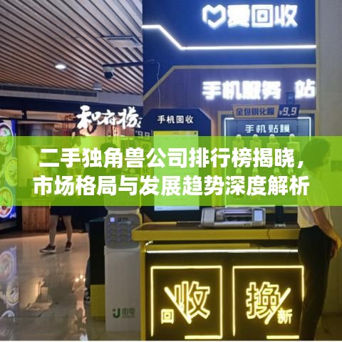 二手獨角獸公司排行榜揭曉,市場格局與發展趨勢深度解析