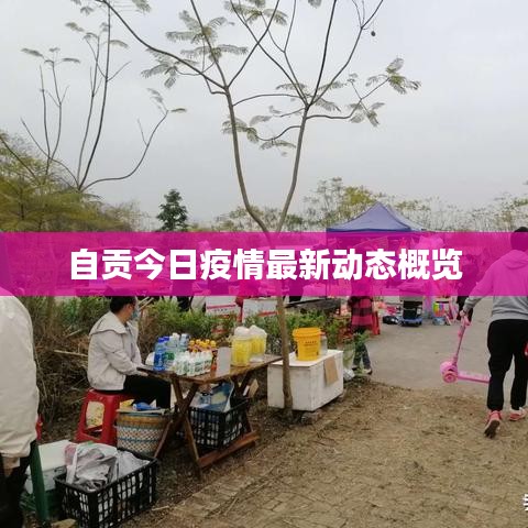自貢今日疫情最新動態(tài)概覽