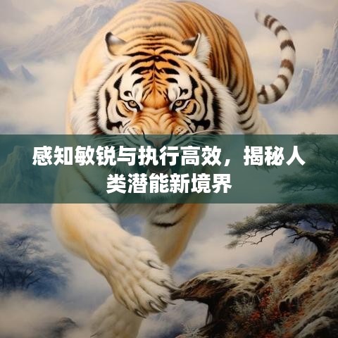 感知敏銳與執(zhí)行高效,揭秘人類潛能新境界