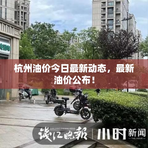 杭州油價今日最新動態，最新油價公布！