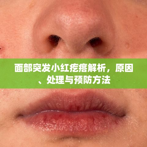 面部突發小紅疙瘩解析,原因、處理與預防方法