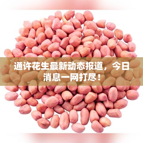 通許花生最新動態報道，今日消息一網打盡！
