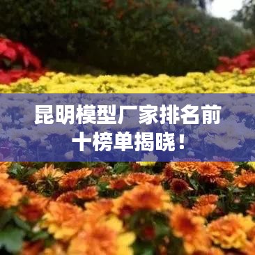 昆明模型廠家排名前十榜單揭曉！